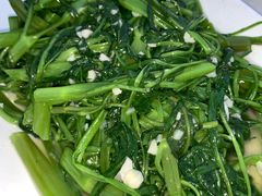 -鲤鱼塘农家山庄