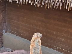 -福州罗源湾海洋世界旅游区