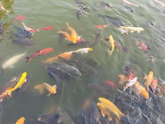 -大连铭湖国际观光牧场