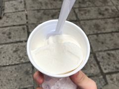 -洪馨椰子