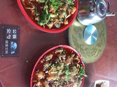 -y牌太安鱼