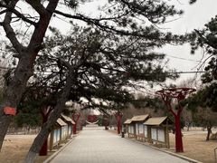 -二一九公园