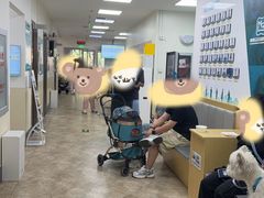 -美联众合动物医院·24h转诊中心