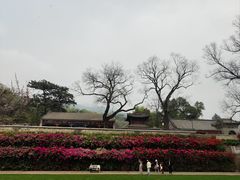 -红螺寺
