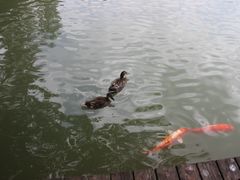 -东部华侨城