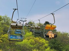 -富斯特索道