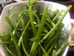 -蘑统田下·野生菌火锅