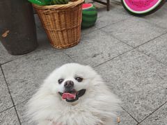 -鹏欣水游城