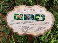 -南山植物园