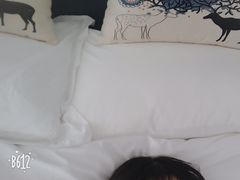 -枸杞岛