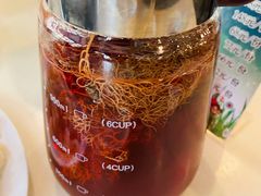 野生植物茶-太婆天府山珍酒楼(亚运村店)