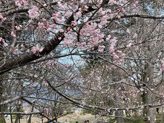 -醍醐寺