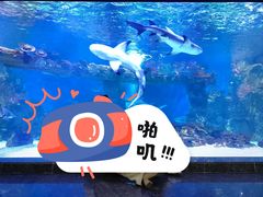 -北海海底世界