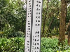 -云龙山