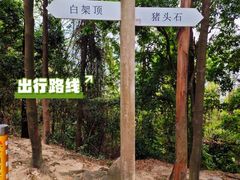 -火炉山森林公园