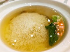 上汤参茸炖绣球-香乐园·淮扬菜中餐厅·Shang Garden(福田香格里拉店)