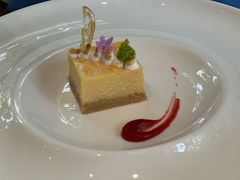 芝士蛋糕-蝶舍·MAISON PAPILLON