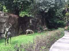 花园酒店-广州花园酒店