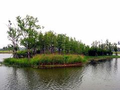-新江湾城公园