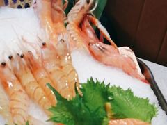 -極上萬膳·日料放题(来福士江景店)
