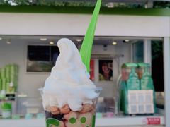 -Salud撒露欧洲冻酸奶(蓝色港湾店)