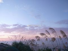 -枸杞岛