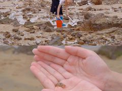 -前王院•巧克力海鲜市集餐厅(万平口店)