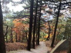 -罗田薄刀峰风景区