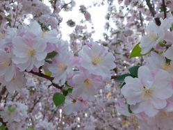 -大望京儿童游乐场