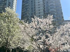 -上海电影博物馆