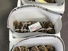 -黄记大闸蟹专卖店·活蟹·醉蟹