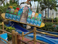 -南宫五洲植物乐园