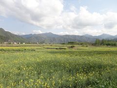 -灵山景区梯田