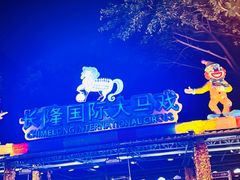 -广州长隆国际大马戏