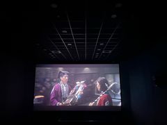 -SFC上影影城(港汇永华IMAX激光店)