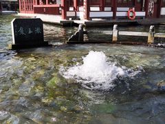 -百脉泉景区