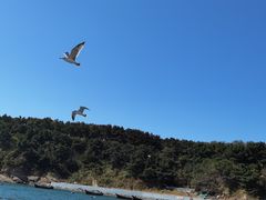 -大连金石滩滨海国家地质公园