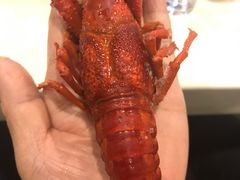 -虾弄弄海派小龙虾·牛羊蝎子火锅