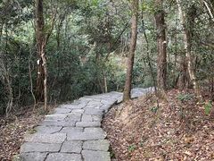 -武夷山风景名胜区-虎啸岩