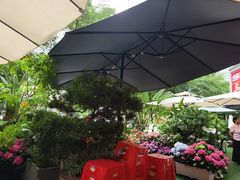 -山水茶艺馆·点心粤菜·30年老字号