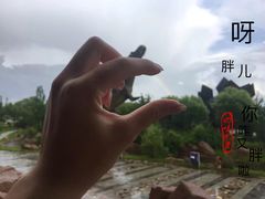 -嘉荫恐龙国家地质公园