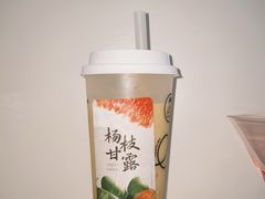 -雾与山茶(大禹城店)