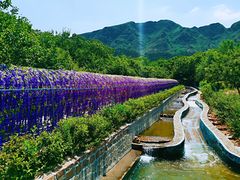 -山叶口景区