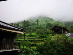 -藏龙百瀑风景区