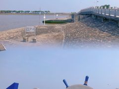 -大湾区中央湿地公园-十九涌