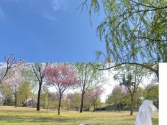 -洨河生态公园