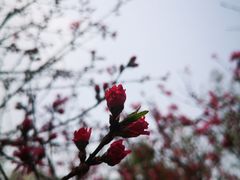 -白塘生态植物园