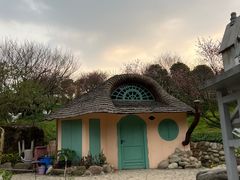 -秀丽东方