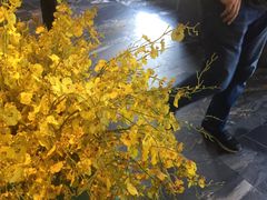 -大鸭梨烤鸭(枣园店)