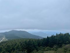 -白草畔自然风景区